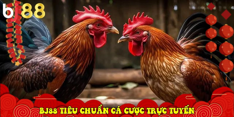 BJ88.COM - Link Vào Trang Chủ Nhà Cái Chính Thức 2026 28 BJ88 xác lập tiêu chuẩn cá cược trực tuyến