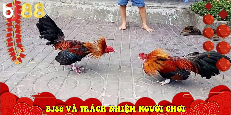BJ88.COM - Link Vào Trang Chủ Nhà Cái Chính Thức 2026 38 BJ88 và trách nhiệm người chơi