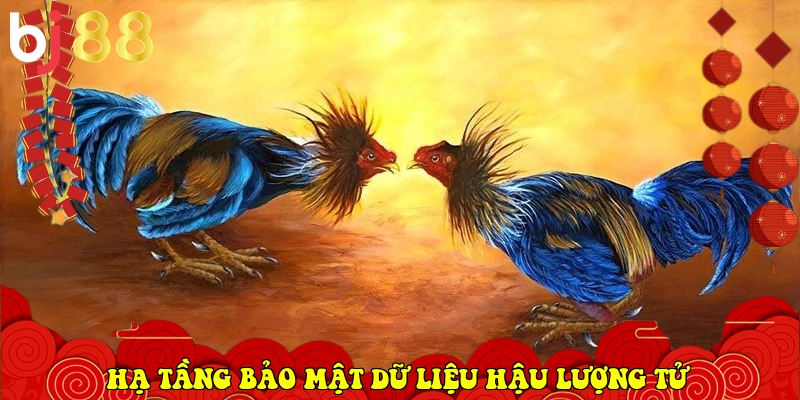 BJ88.COM - Link Vào Trang Chủ Nhà Cái Chính Thức 2026 31 hạ tầng bảo mật dữ liệu hậu lượng tử